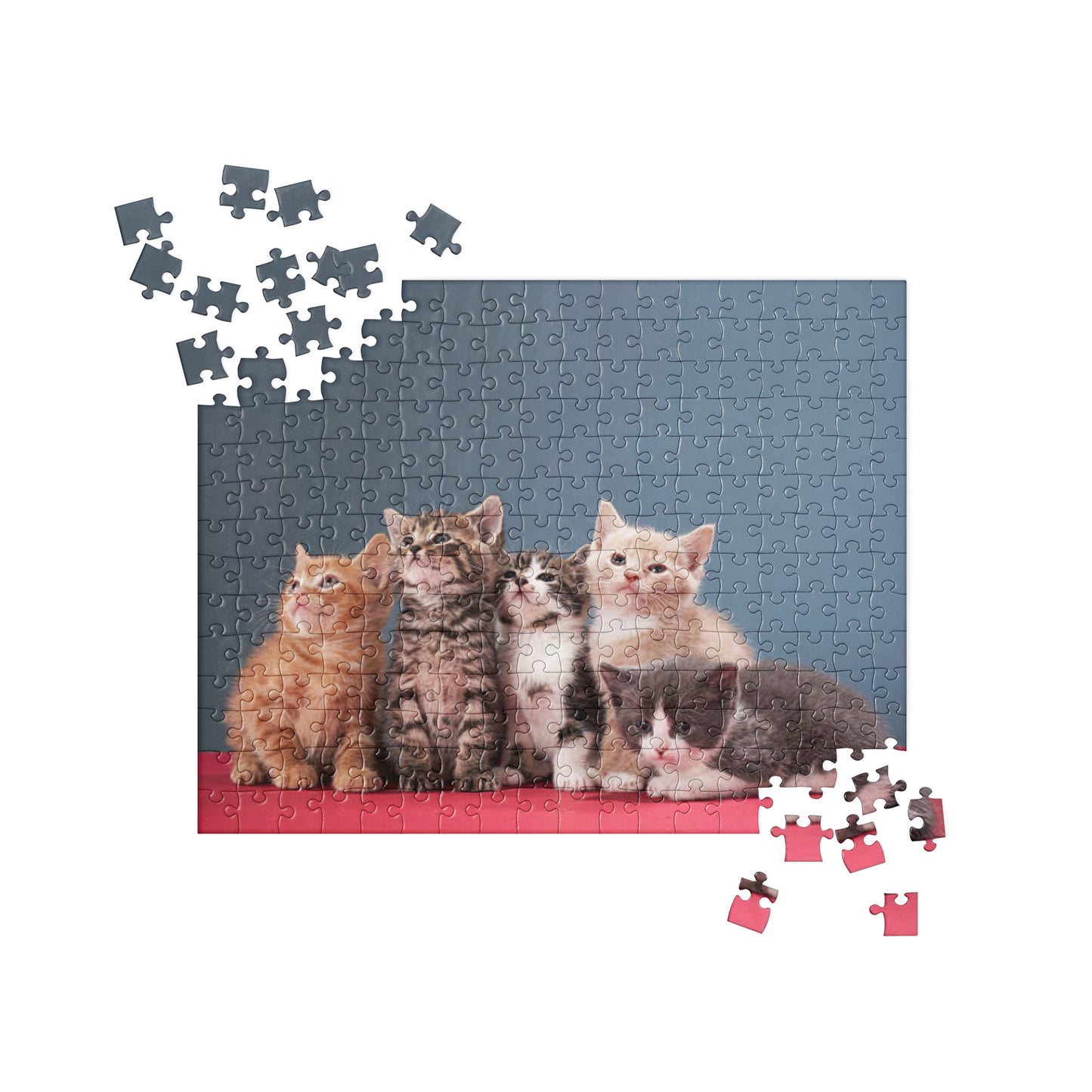 Kitten Jigsaw