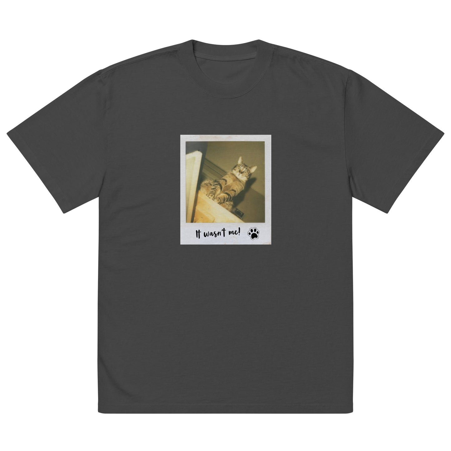 Guilty Cat Oversized Faded t-shirt