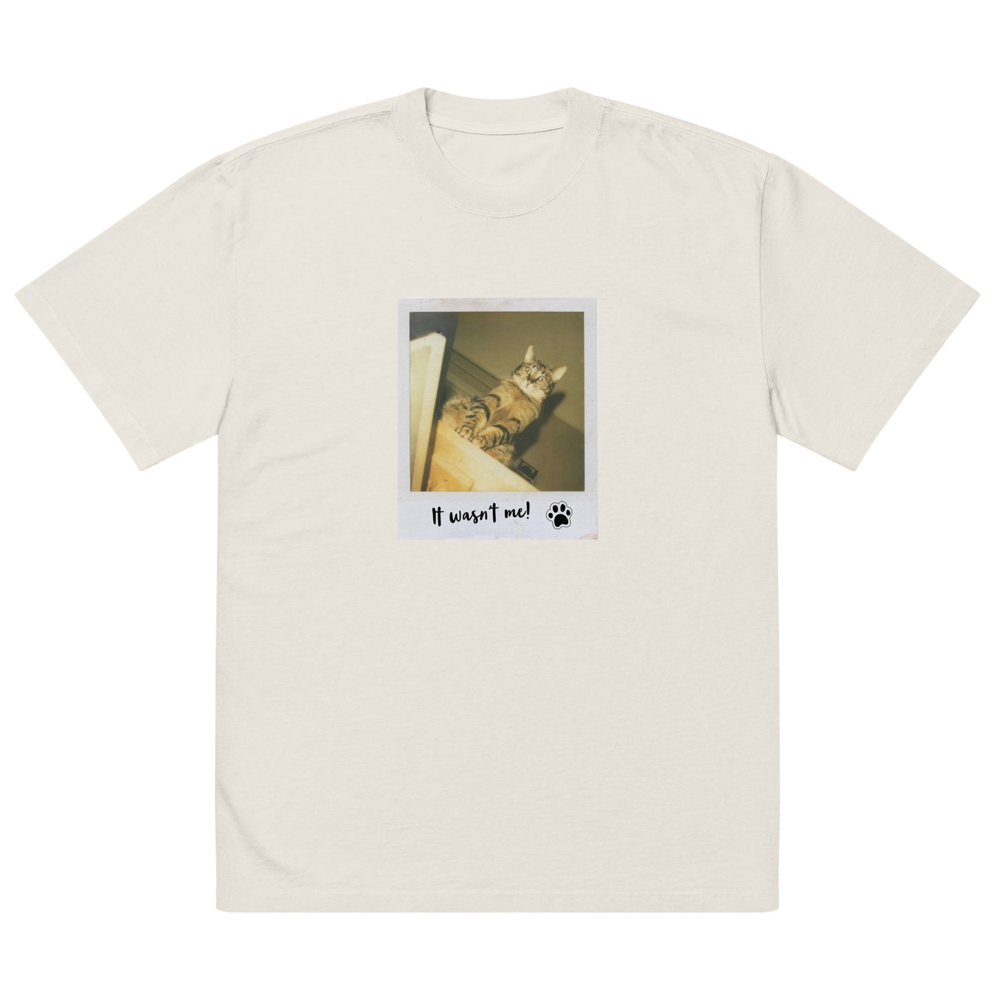 Guilty Cat Oversized Faded t-shirt