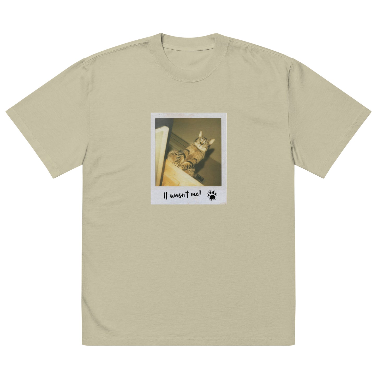 Guilty Cat Oversized Faded t-shirt