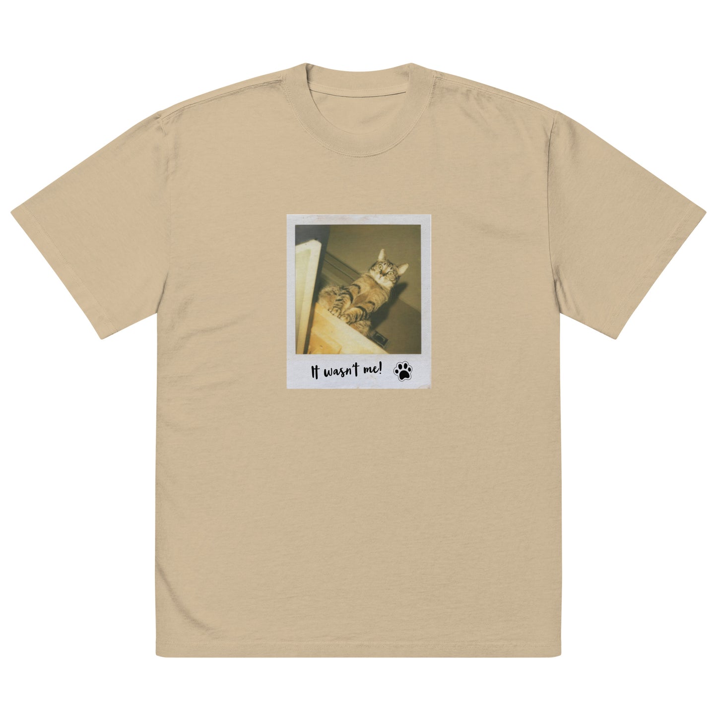 Guilty Cat Oversized Faded t-shirt